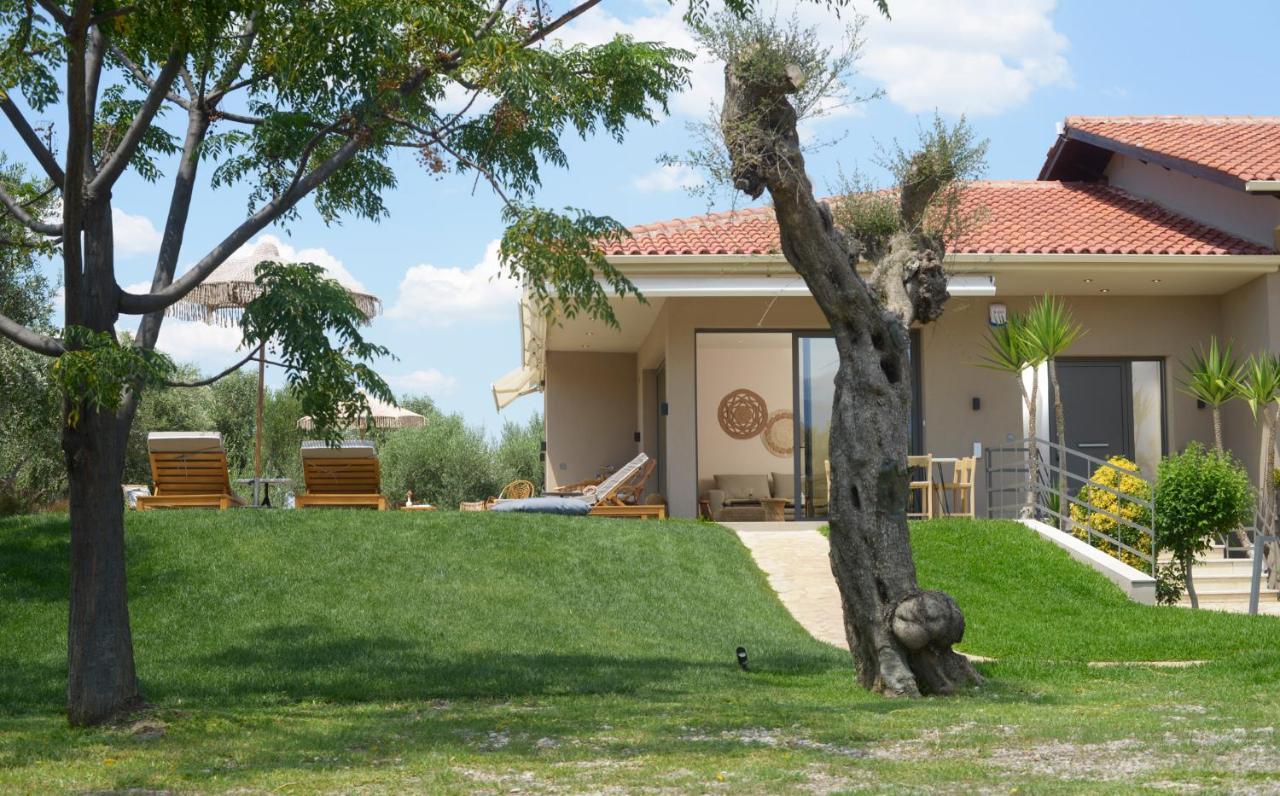 Elaia Grove Kalamata